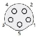 5